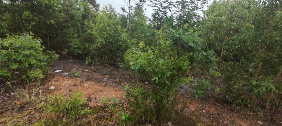 0 Bedroom Property for Sale in Greenbushes Eastern Cape